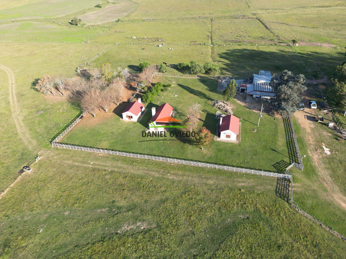 Campo Ref.201 - Establecimiento completo de 400 hás en venta en Flores.