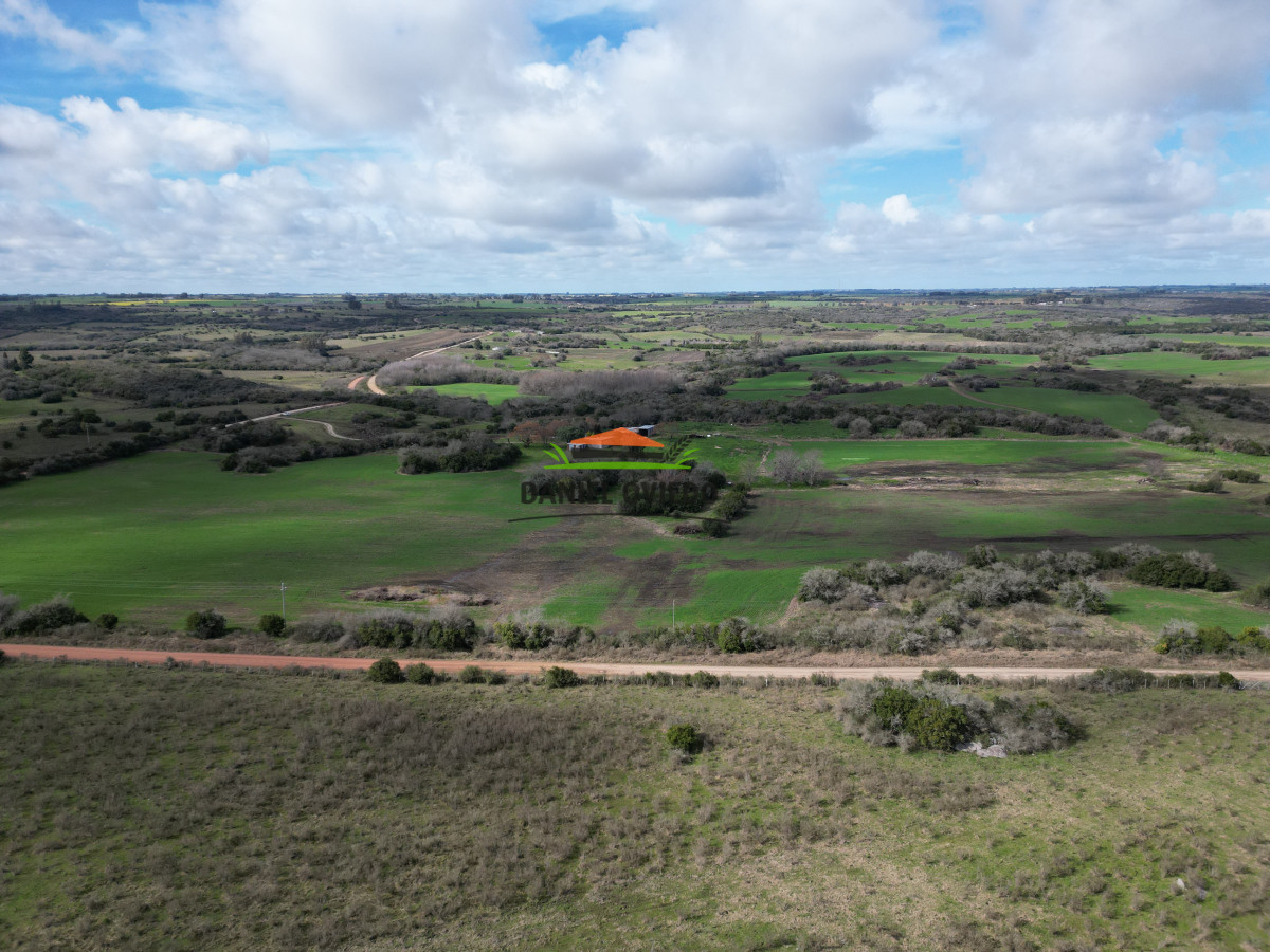 Campo Ref.249/Buen-campo-ganadero-en-venta-ideal-para-engorde. - Buen campo ganadero en venta ideal para engorde.