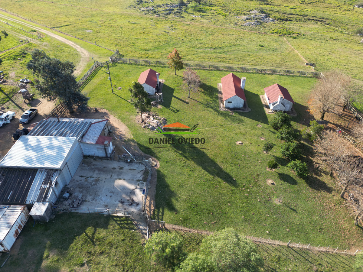 Campo Ref.201 - Establecimiento completo de 400 hás en venta en Flores.