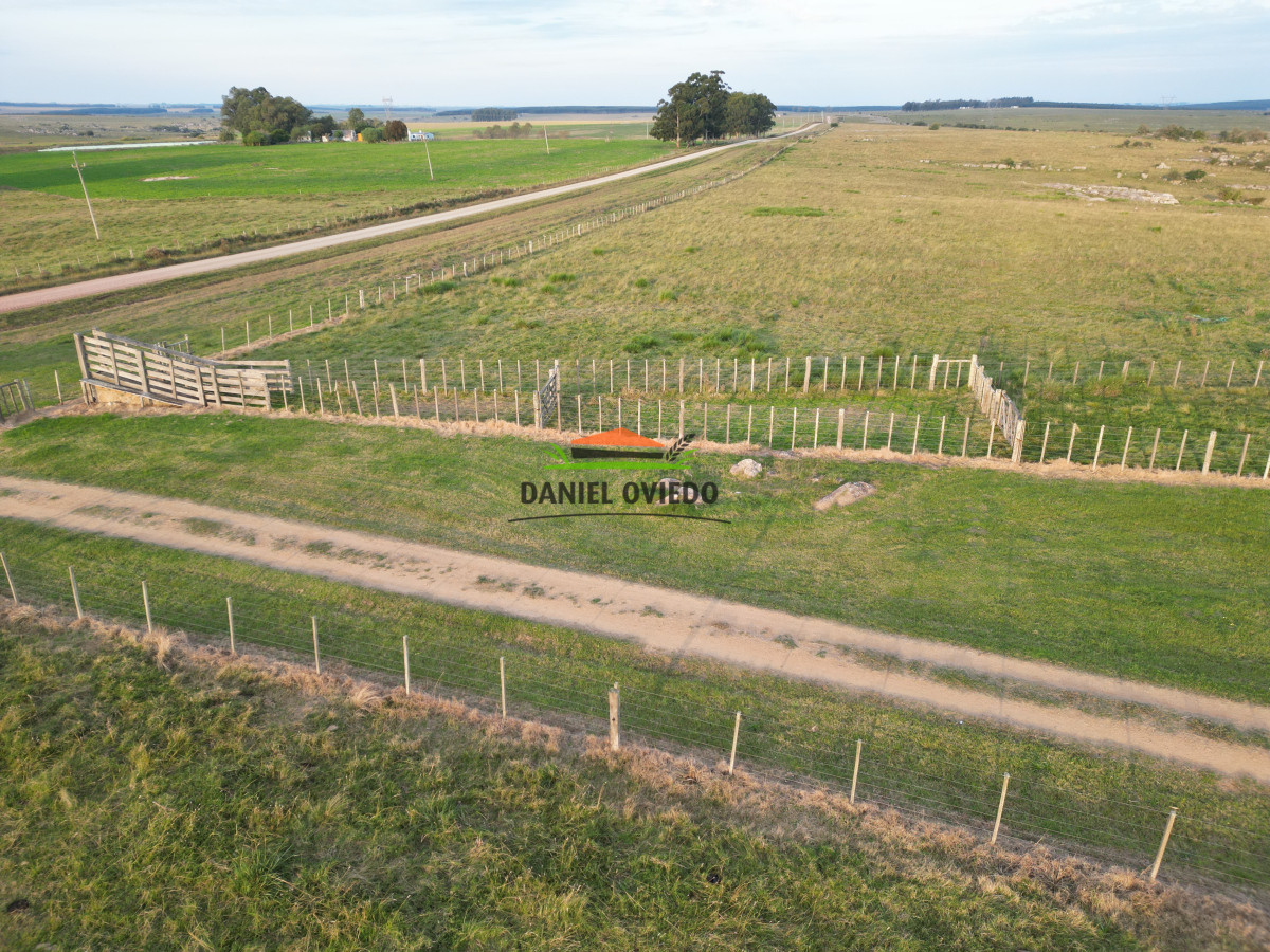 Campo Ref.201 - Establecimiento completo de 400 hás en venta en Flores.