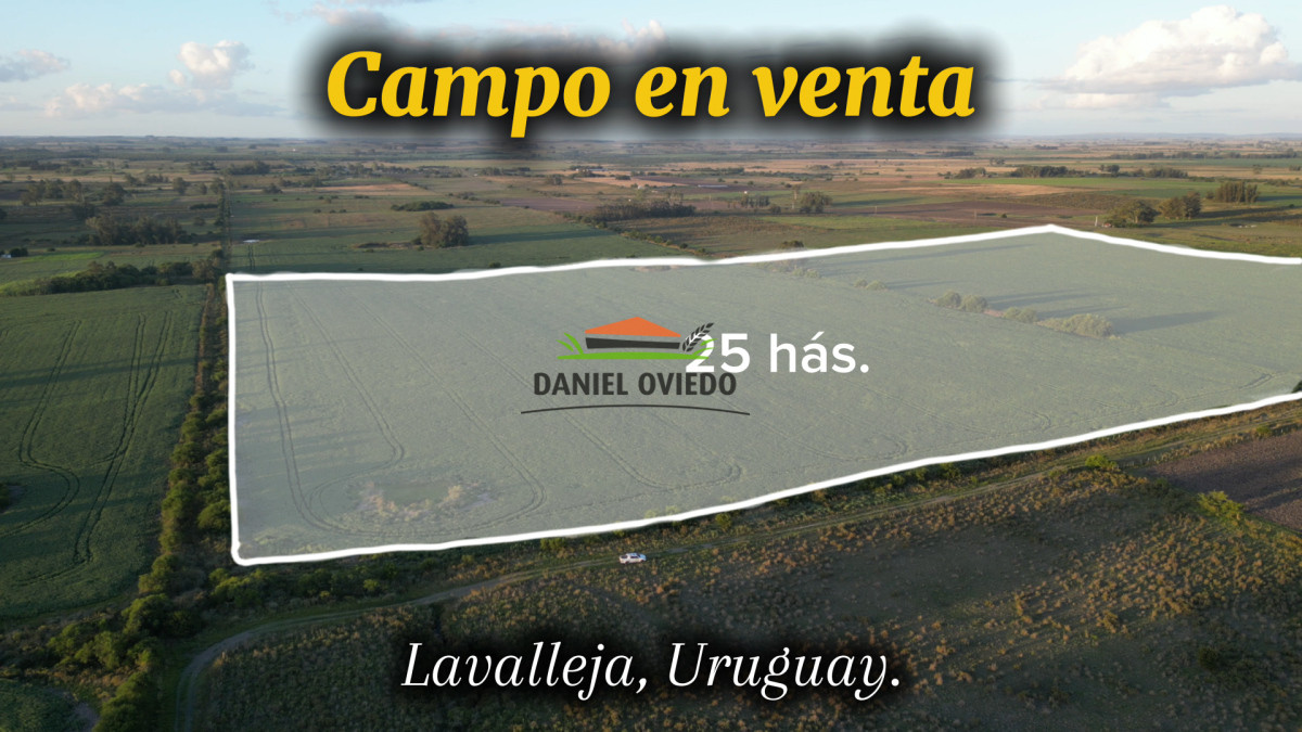 Campo Ref.191 - Oportunidad de inversión, campo agrícola en venta en Lavalleja.