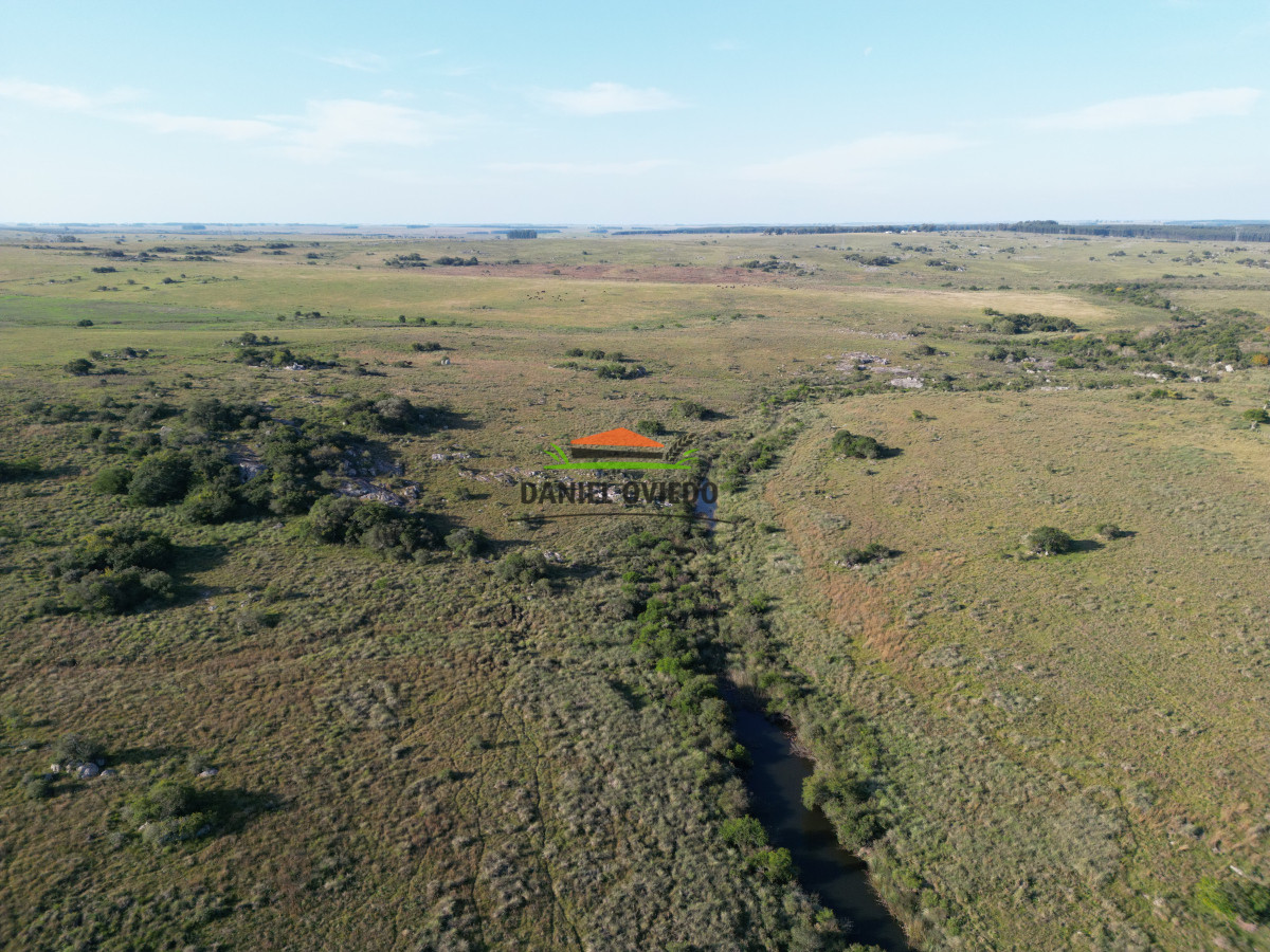 Campo Ref.201 - Establecimiento completo de 400 hás en venta en Flores.