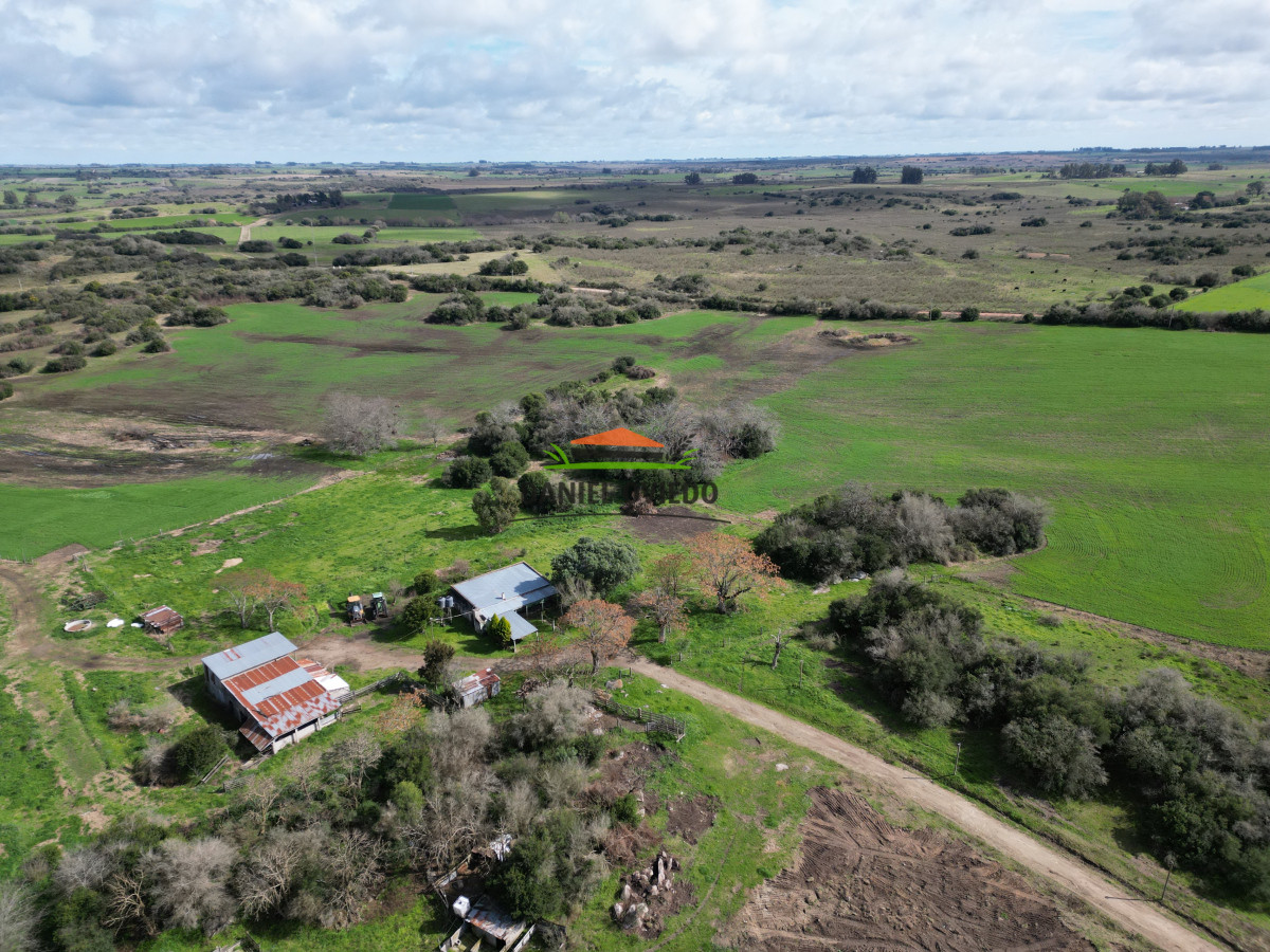 Campo Ref.249/Buen-campo-ganadero-en-venta-ideal-para-engorde. - Buen campo ganadero en venta ideal para engorde.