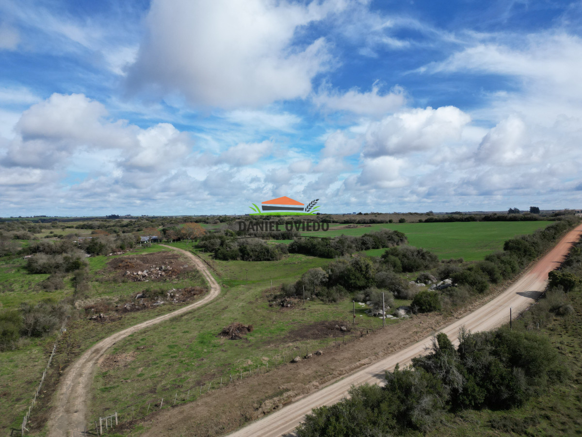 Campo Ref.249/Buen-campo-ganadero-en-venta-ideal-para-engorde. - Buen campo ganadero en venta ideal para engorde.