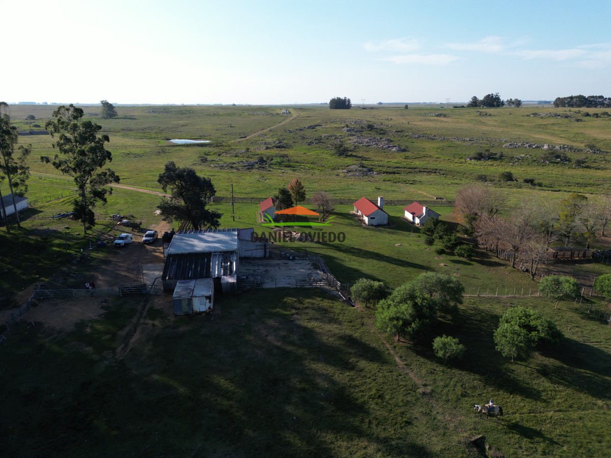 Campo Ref.201 - Establecimiento completo de 400 hás en venta en Flores.