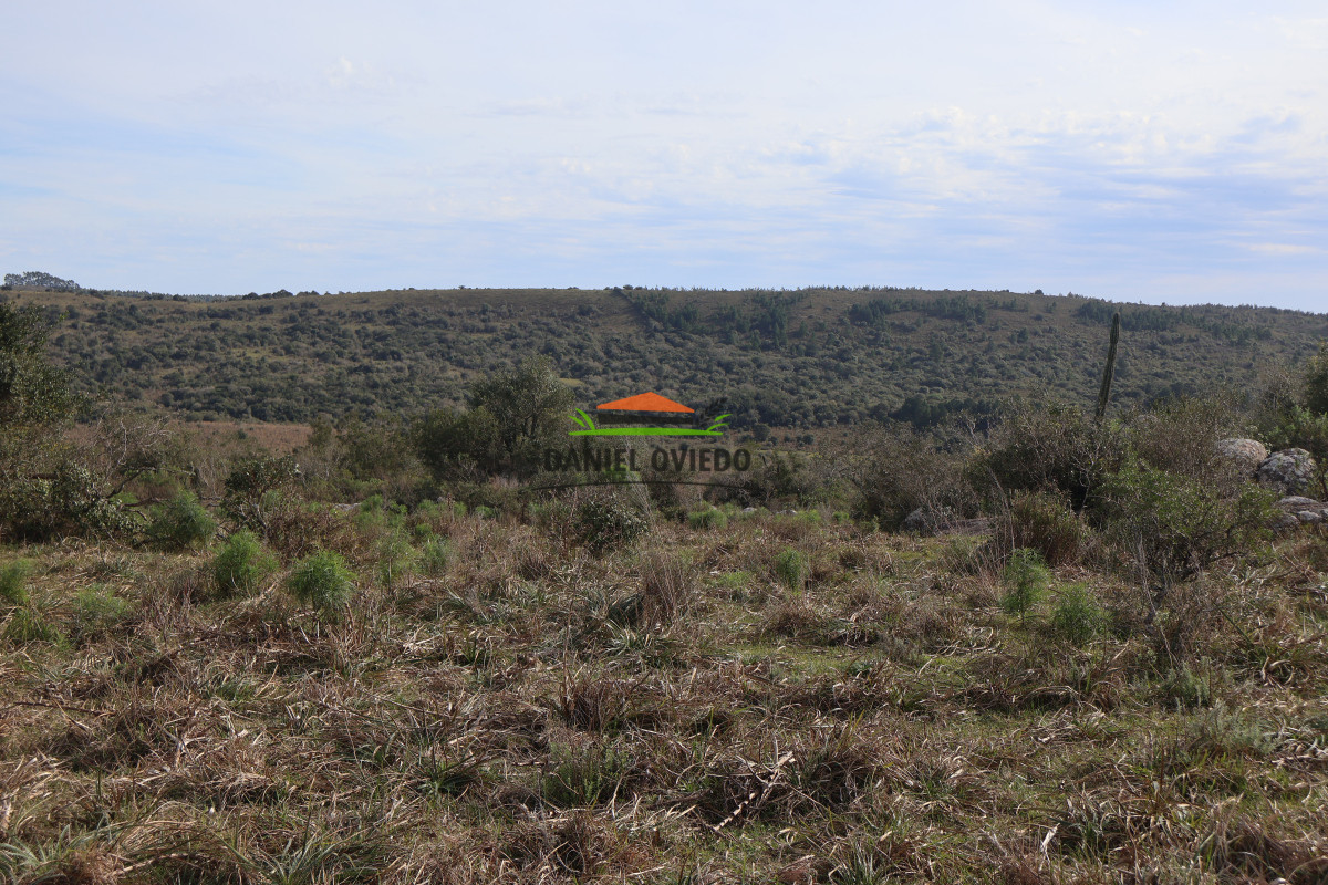 Campo Ref.213 - La Estancia La Alegría, 470 has en venta en Cerro Largo.