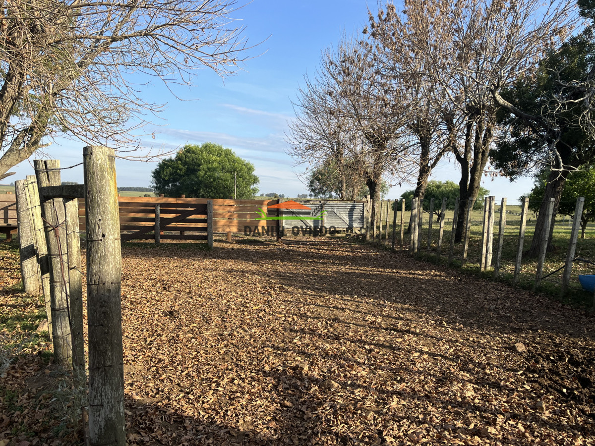 Campo Ref.201 - Establecimiento completo de 400 hás en venta en Flores.