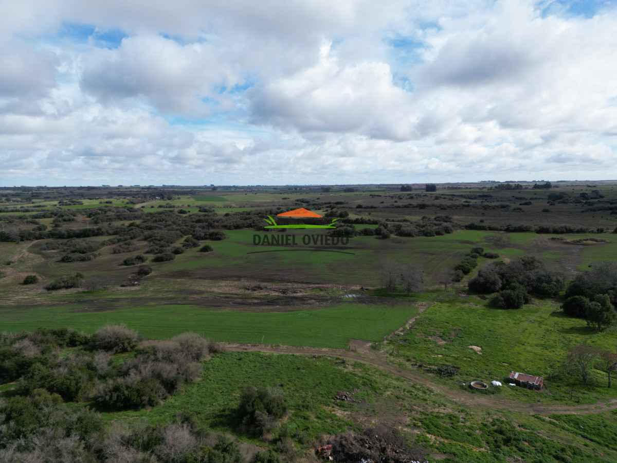 Campo Ref.249/Buen-campo-ganadero-en-venta-ideal-para-engorde. - Buen campo ganadero en venta ideal para engorde.