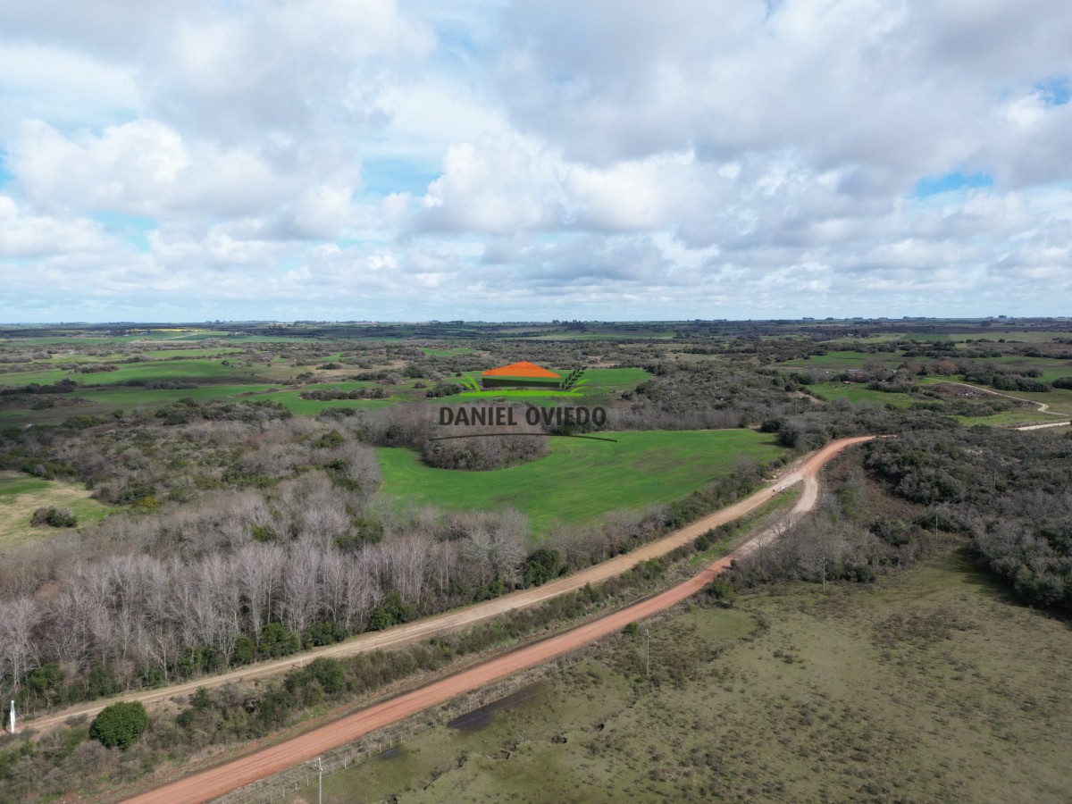 Campo Ref.249/Buen-campo-ganadero-en-venta-ideal-para-engorde. - Buen campo ganadero en venta ideal para engorde.