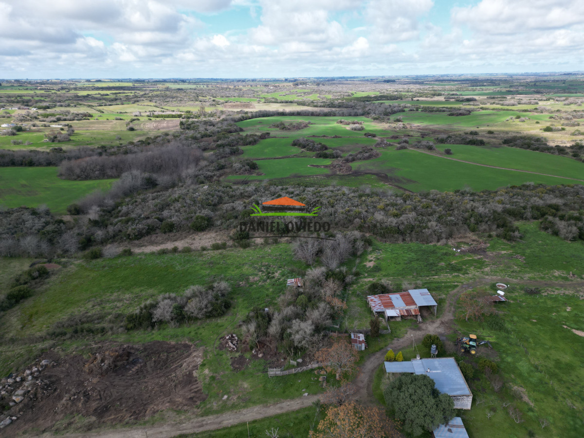 Campo Ref.249/Buen-campo-ganadero-en-venta-ideal-para-engorde. - Buen campo ganadero en venta ideal para engorde.