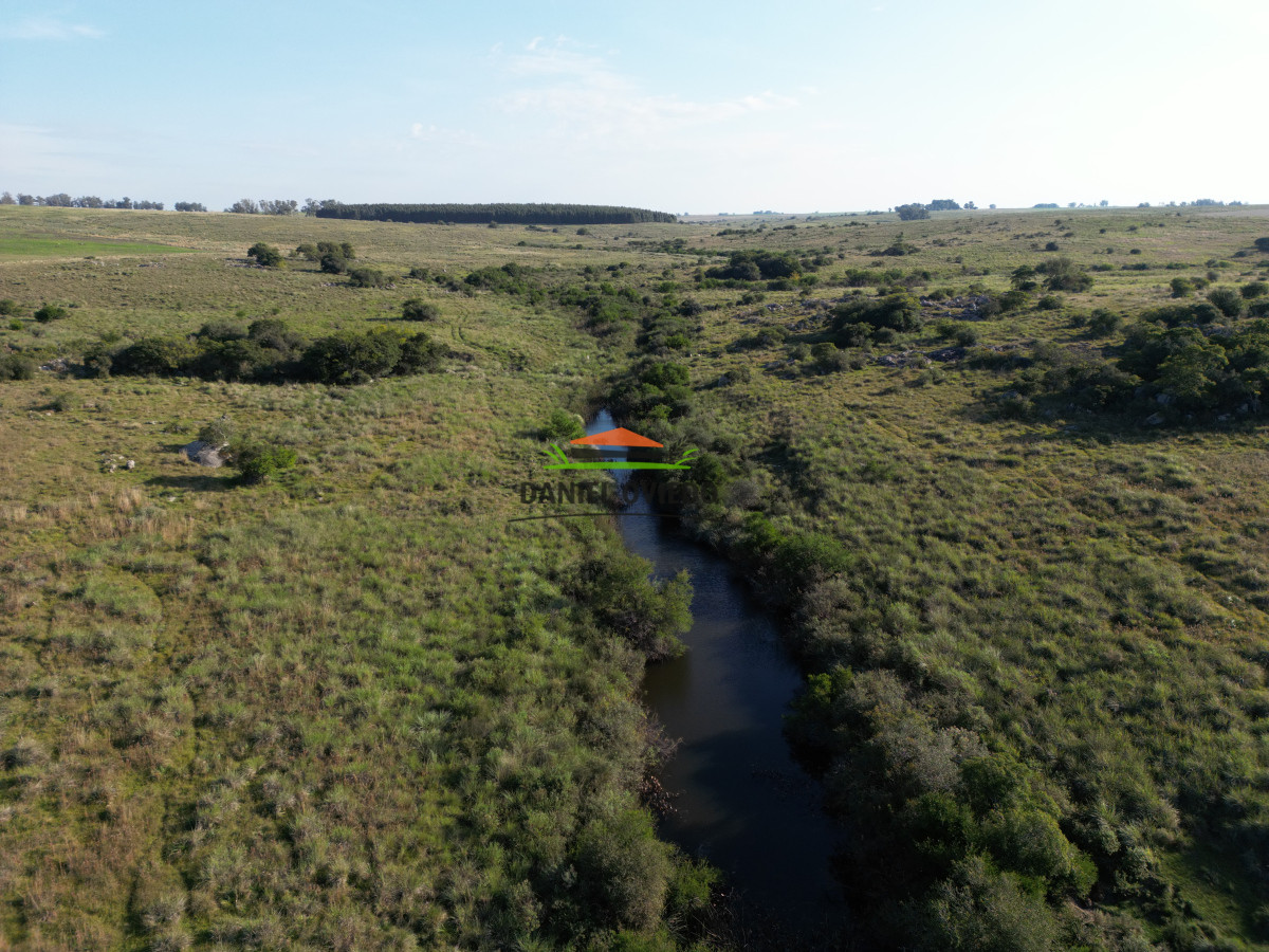 Campo Ref.201 - Establecimiento completo de 400 hás en venta en Flores.
