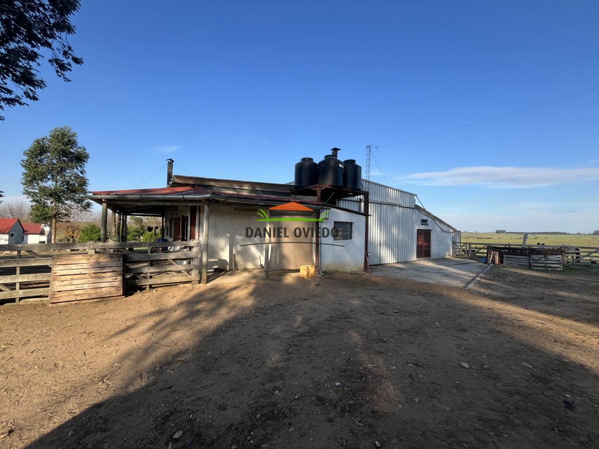Campo Ref.201 - Establecimiento completo de 400 hás en venta en Flores.