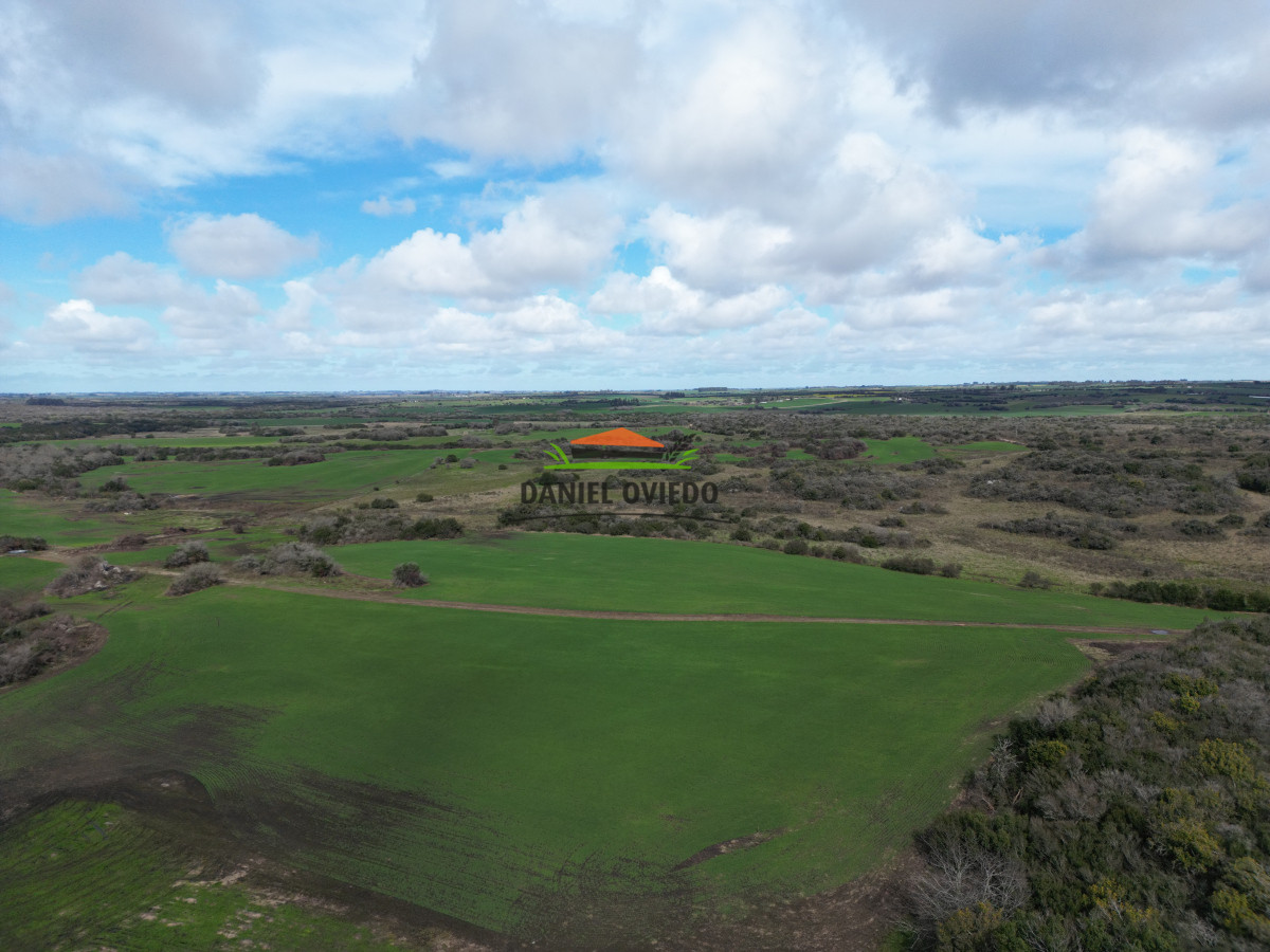 Campo Ref.249/Buen-campo-ganadero-en-venta-ideal-para-engorde. - Buen campo ganadero en venta ideal para engorde.