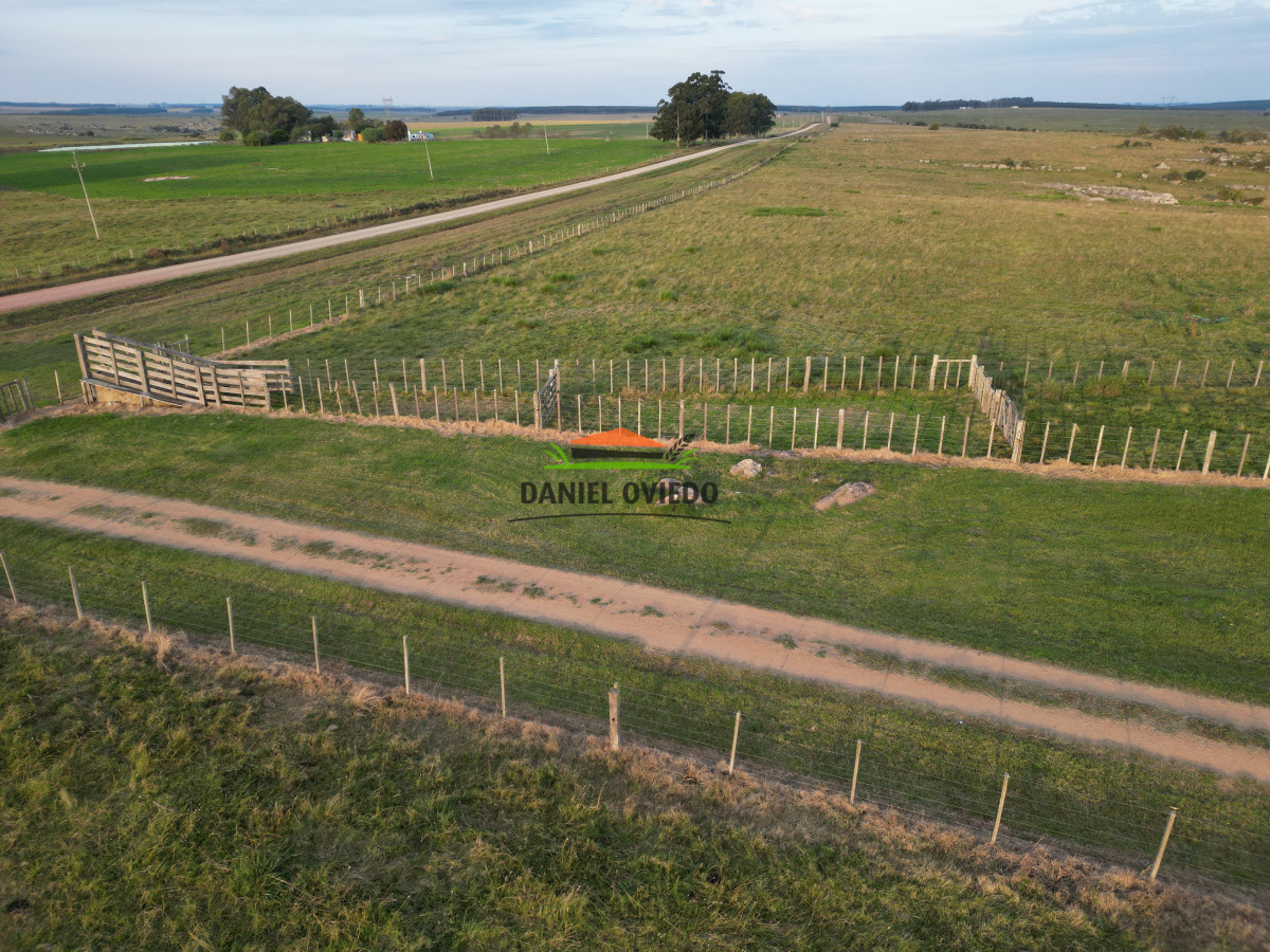Campo Ref.201 - Establecimiento completo de 400 hás en venta en Flores.