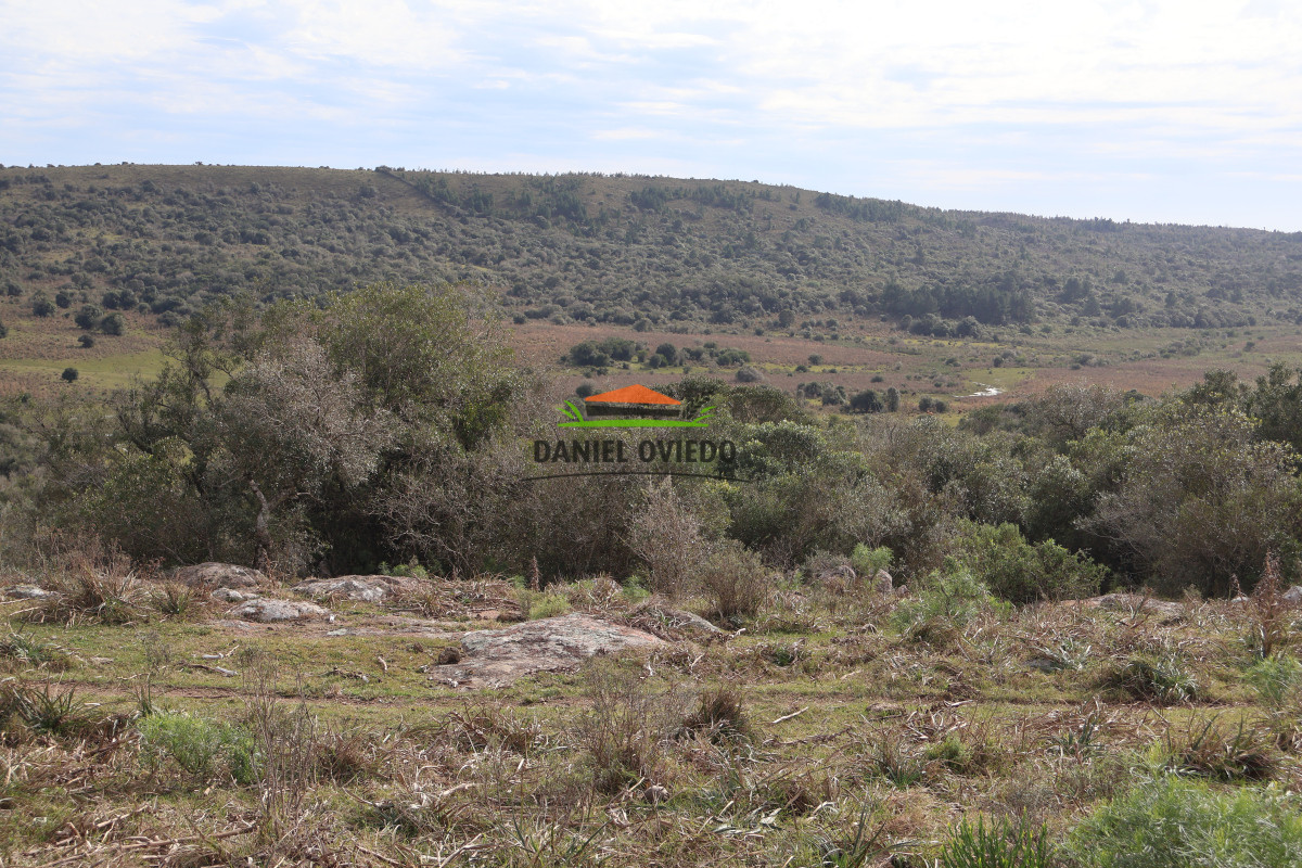 Campo Ref.213 - La Estancia La Alegría, 470 has en venta en Cerro Largo.