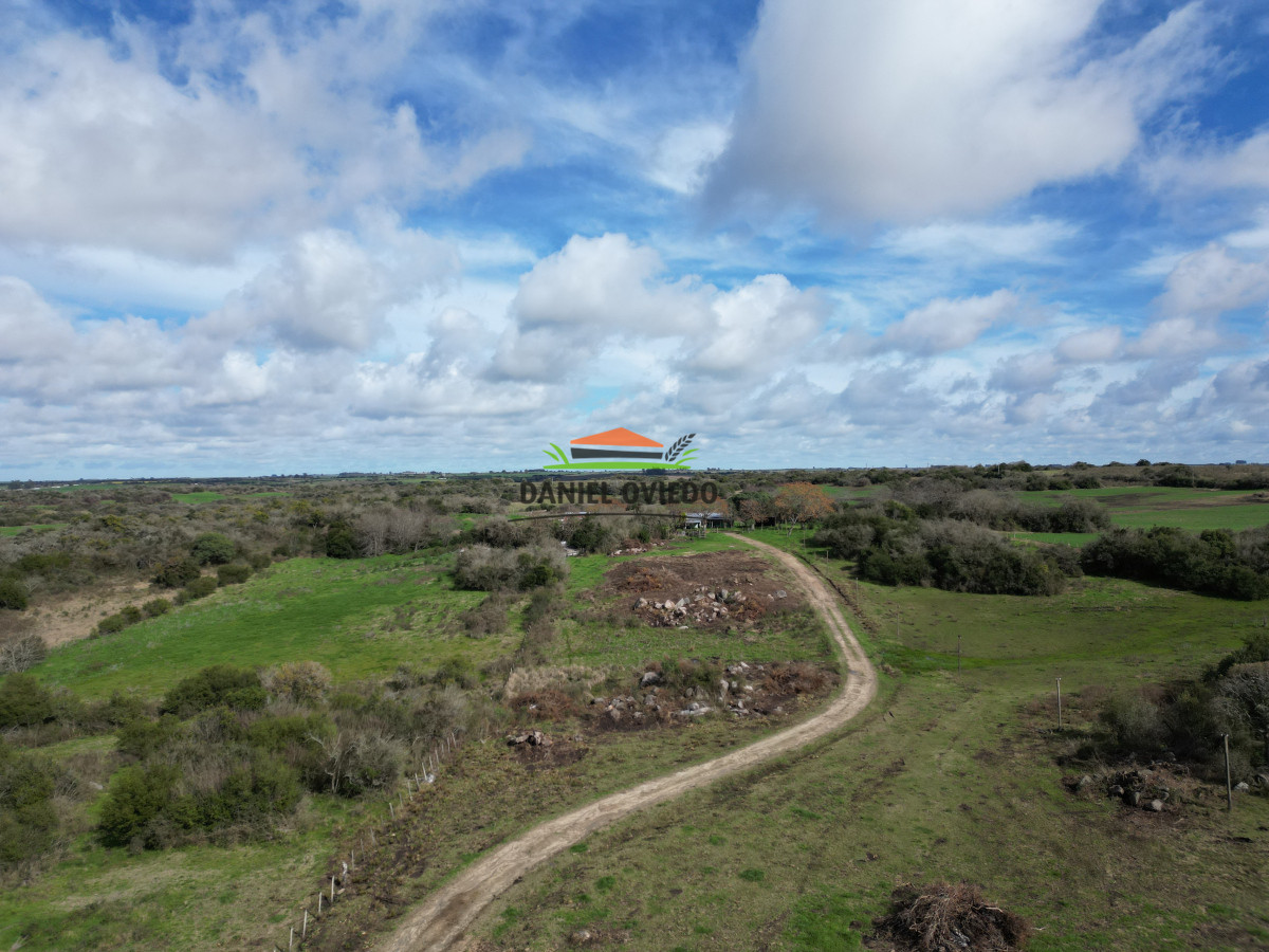 Campo Ref.249/Buen-campo-ganadero-en-venta-ideal-para-engorde. - Buen campo ganadero en venta ideal para engorde.