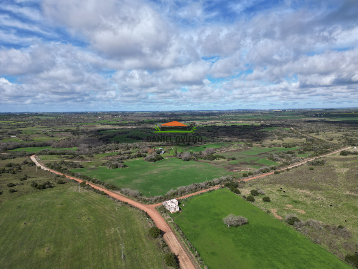 Campo Ref.249/Buen-campo-ganadero-en-venta-ideal-para-engorde. - Buen campo ganadero en venta ideal para engorde.