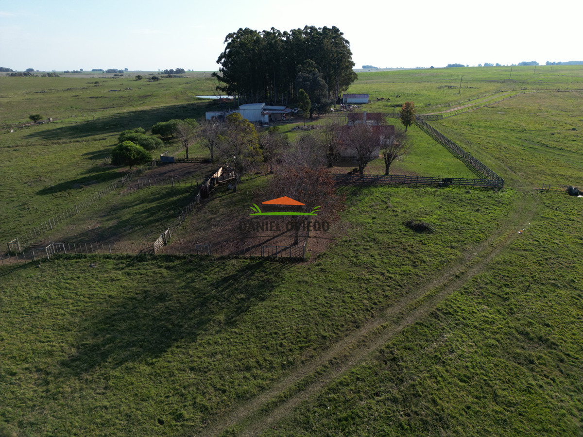 Campo Ref.201 - Establecimiento completo de 400 hás en venta en Flores.
