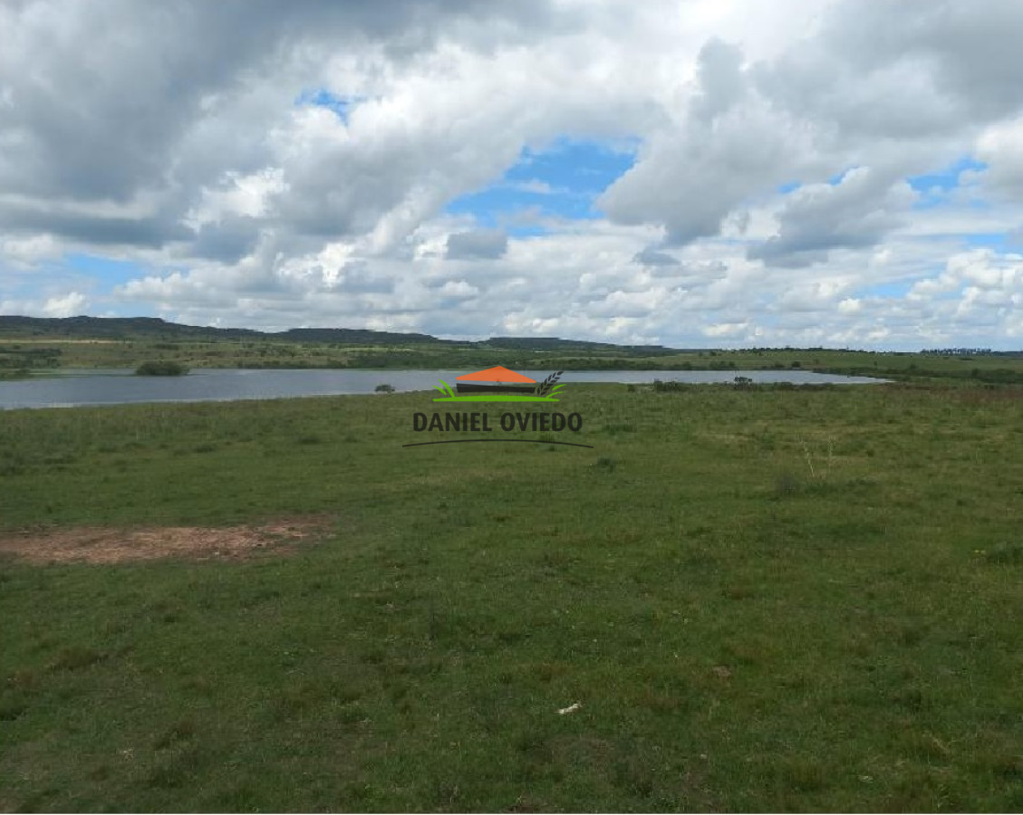 Campo Ref.145 - Establecimiento de 3.000 hás en venta en Cerro Largo.