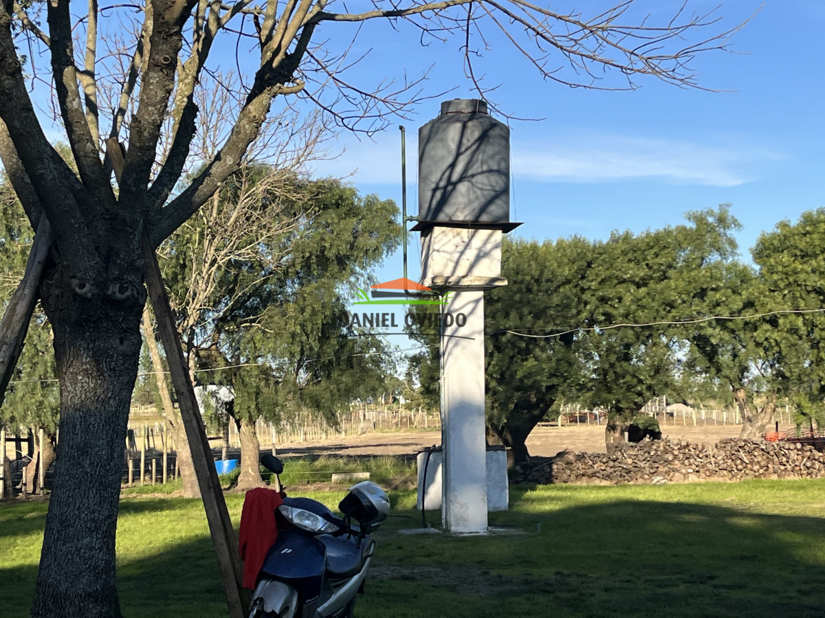 Campo Ref.206 - Excepcional ubicación en ruta 1 y campo productivo con muy buenos suelos.