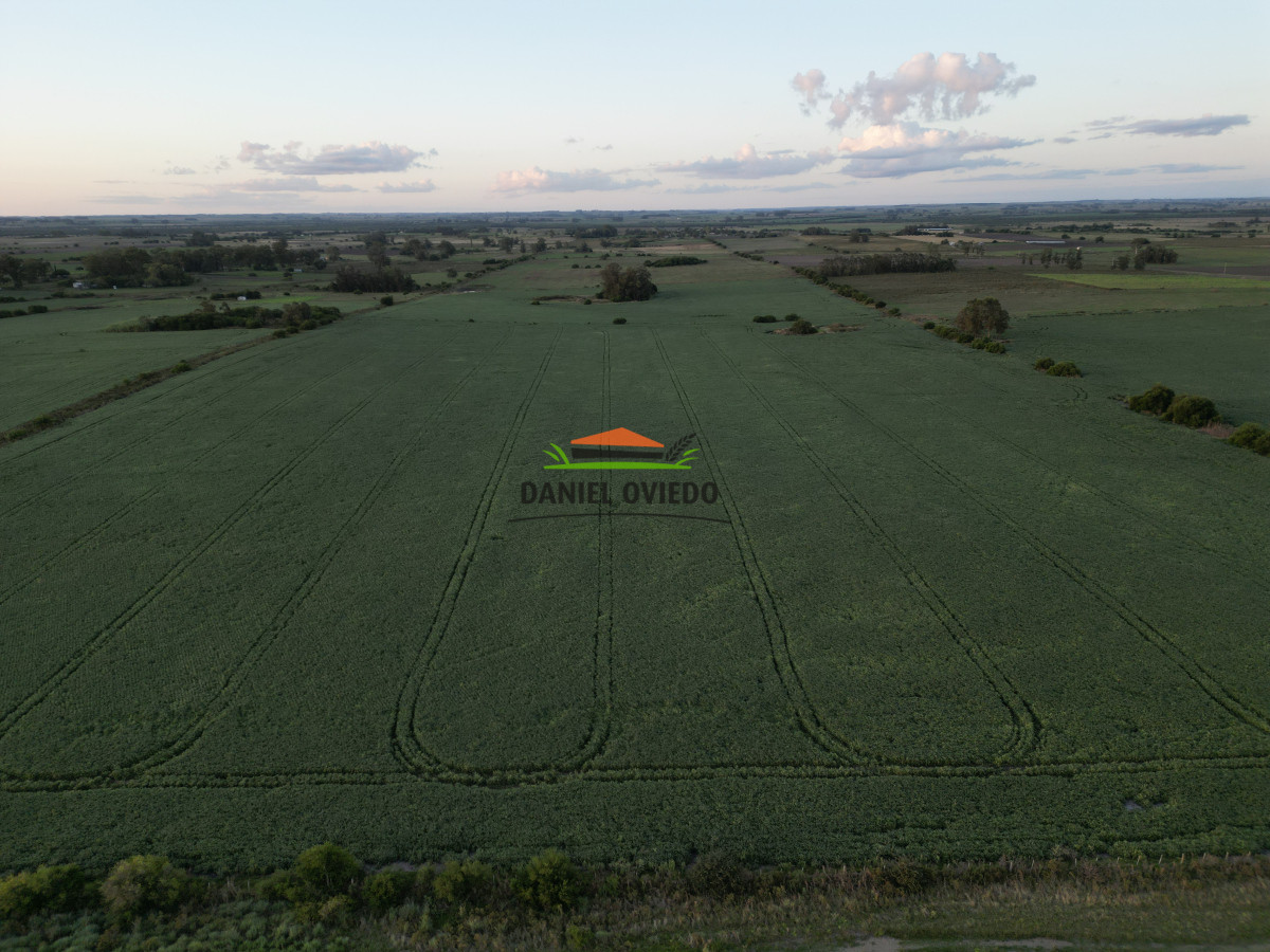 Campo Ref.191 - Oportunidad de inversión, campo agrícola en venta en Lavalleja.