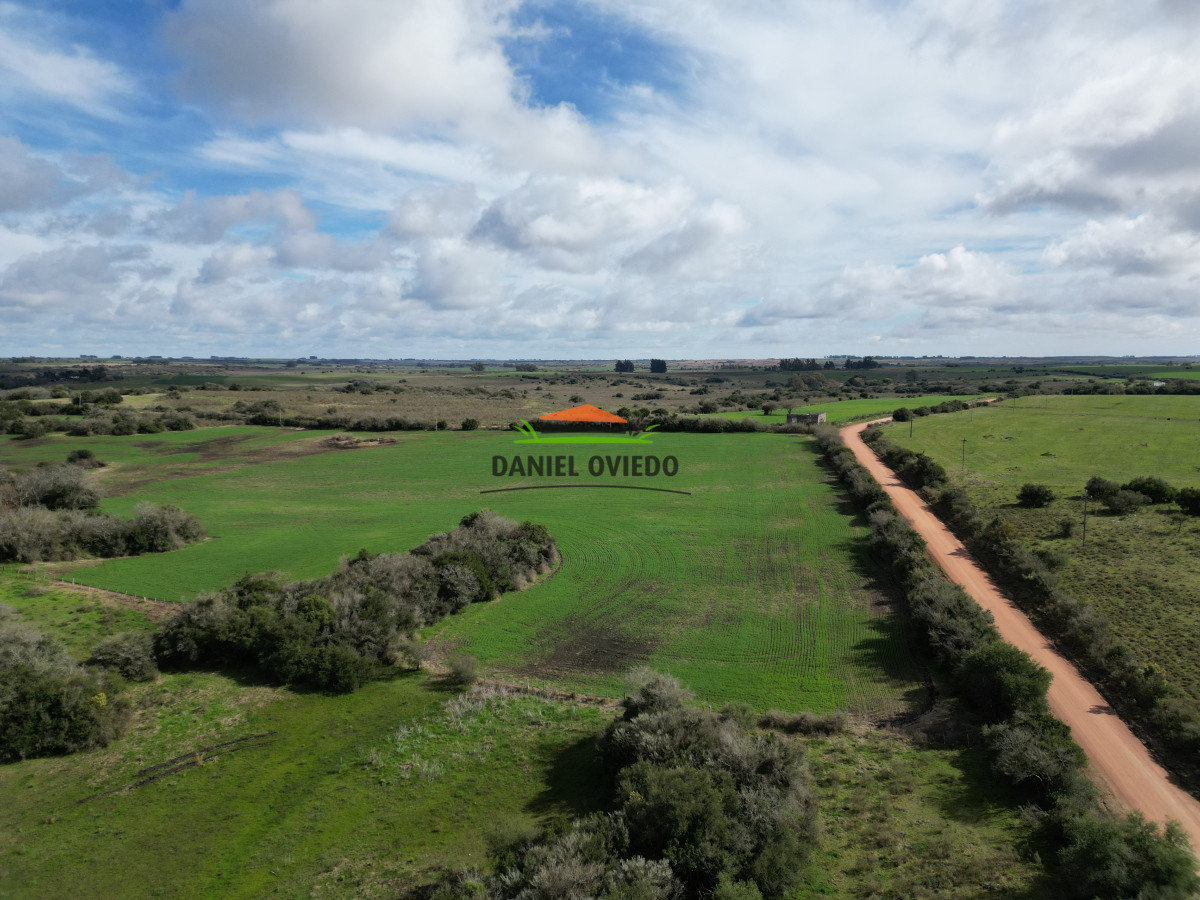 Campo Ref.249/Buen-campo-ganadero-en-venta-ideal-para-engorde. - Buen campo ganadero en venta ideal para engorde.