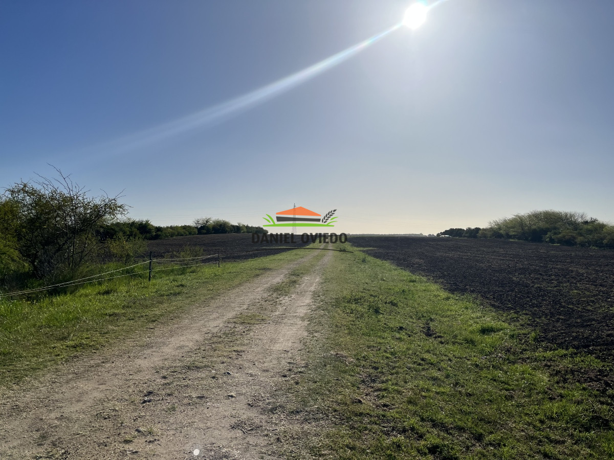 Campo Ref.17 - Campo agrícola - ganadero de 143 hás en venta, Conchillas.