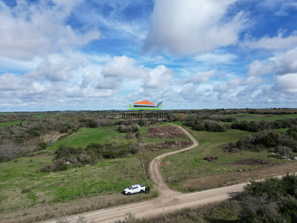 Campo Ref.249/Buen-campo-ganadero-en-venta-ideal-para-engorde. - Buen campo ganadero en venta ideal para engorde.
