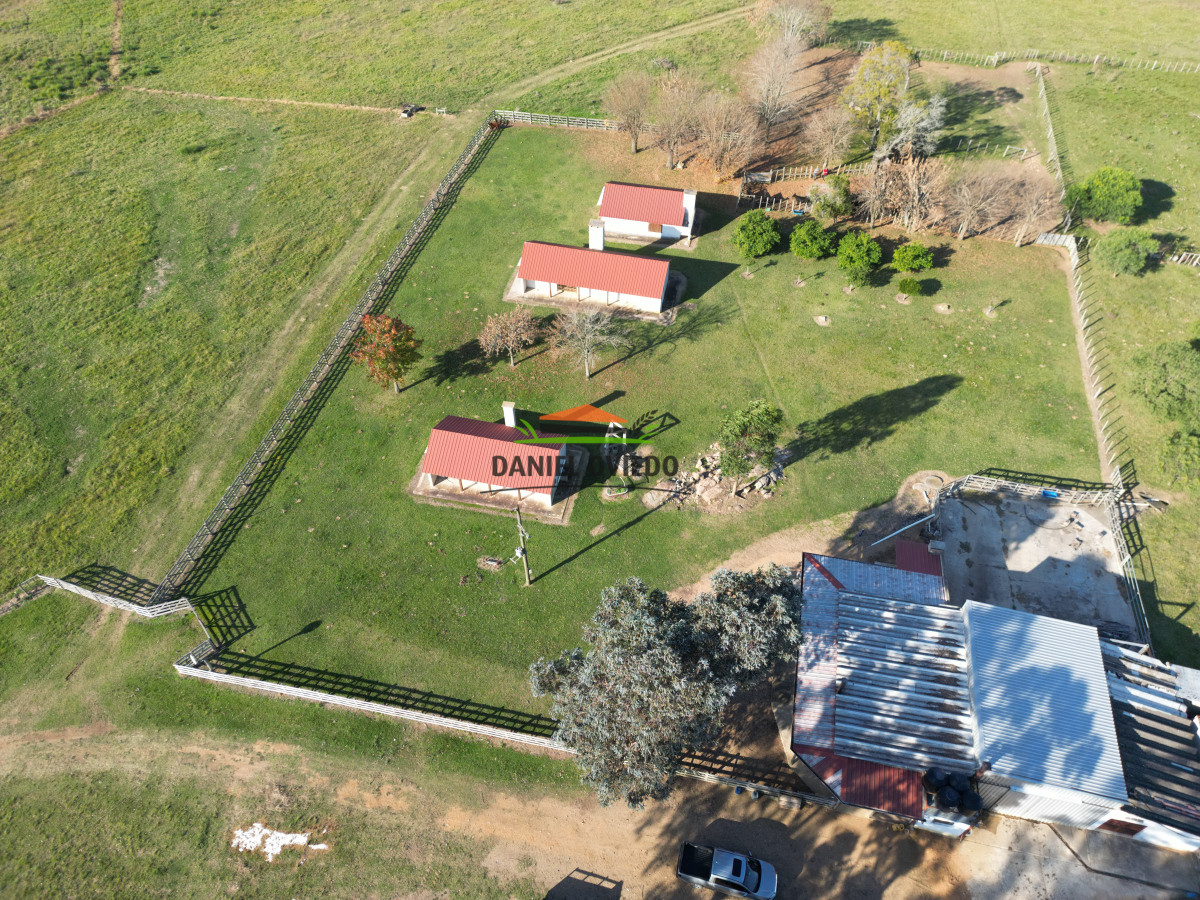 Campo Ref.201 - Establecimiento completo de 400 hás en venta en Flores.