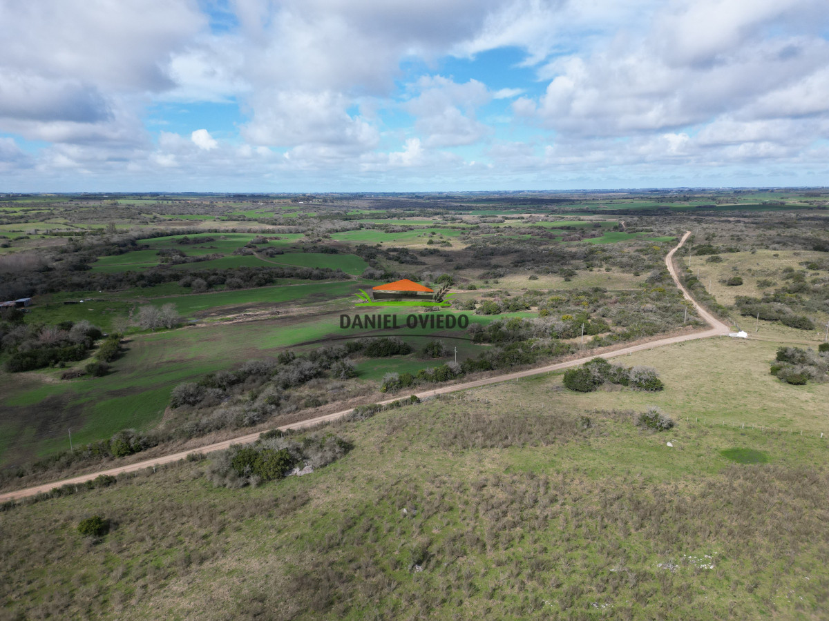 Campo Ref.249/Buen-campo-ganadero-en-venta-ideal-para-engorde. - Buen campo ganadero en venta ideal para engorde.