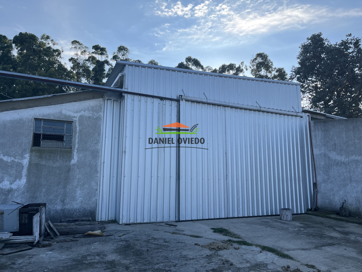 Campo Ref.201 - Establecimiento completo de 400 hás en venta en Flores.