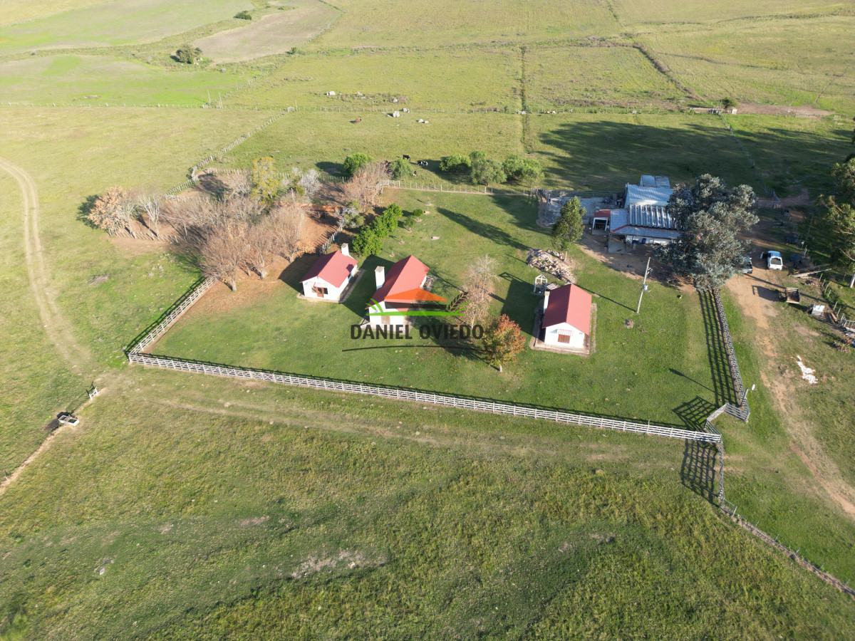 Campo Ref.201 - Establecimiento completo de 400 hás en venta en Flores.