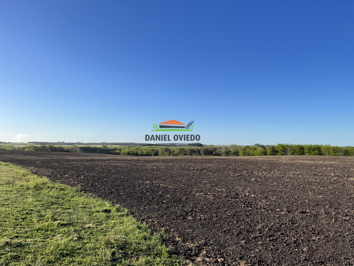 Campo Ref.17 - Campo agrícola - ganadero de 143 hás en venta, Conchillas.