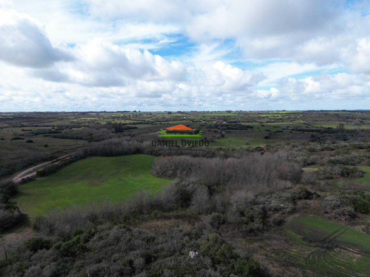 Campo Ref.249/Buen-campo-ganadero-en-venta-ideal-para-engorde. - Buen campo ganadero en venta ideal para engorde.