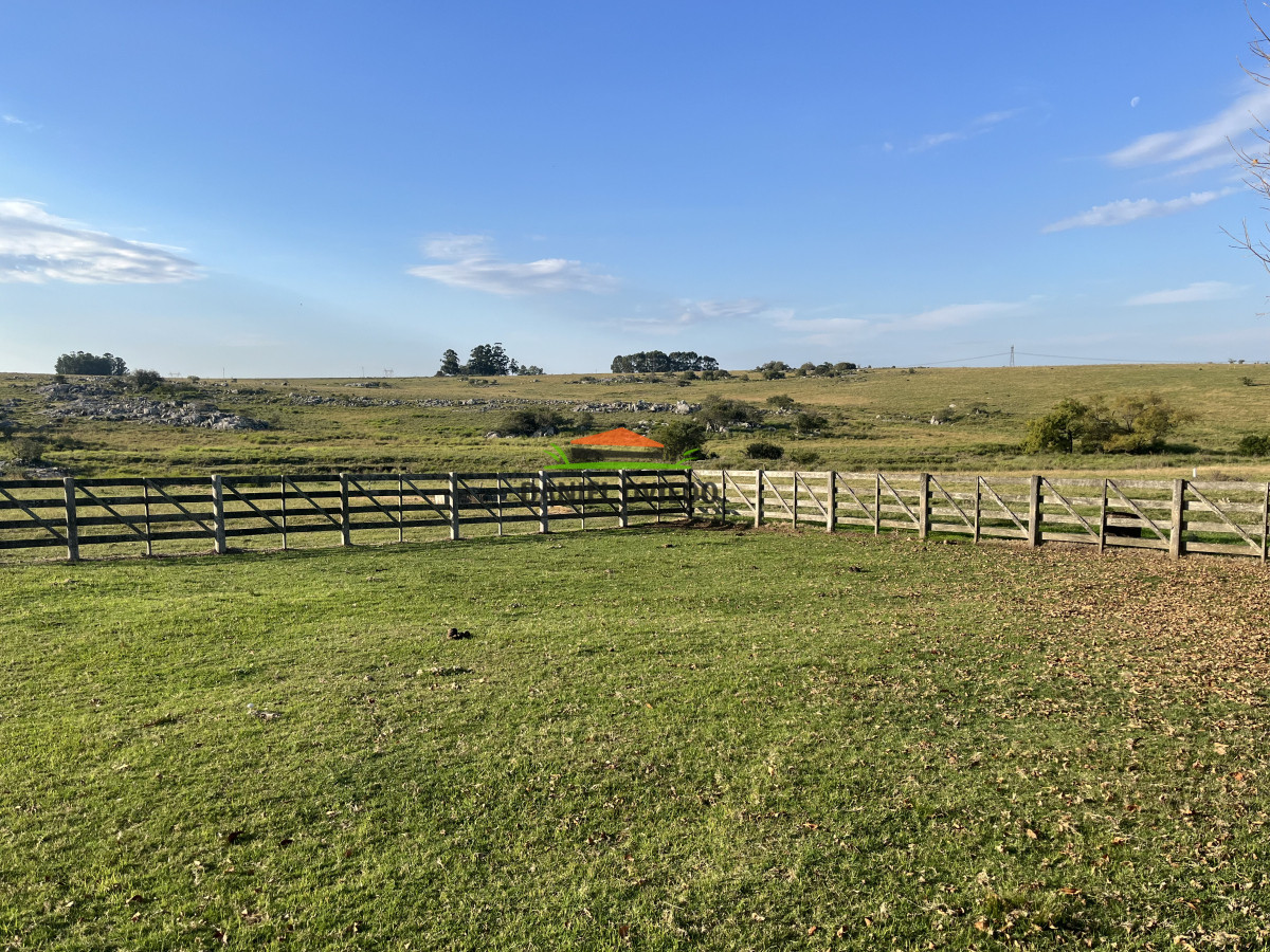 Campo Ref.201 - Establecimiento completo de 400 hás en venta en Flores.