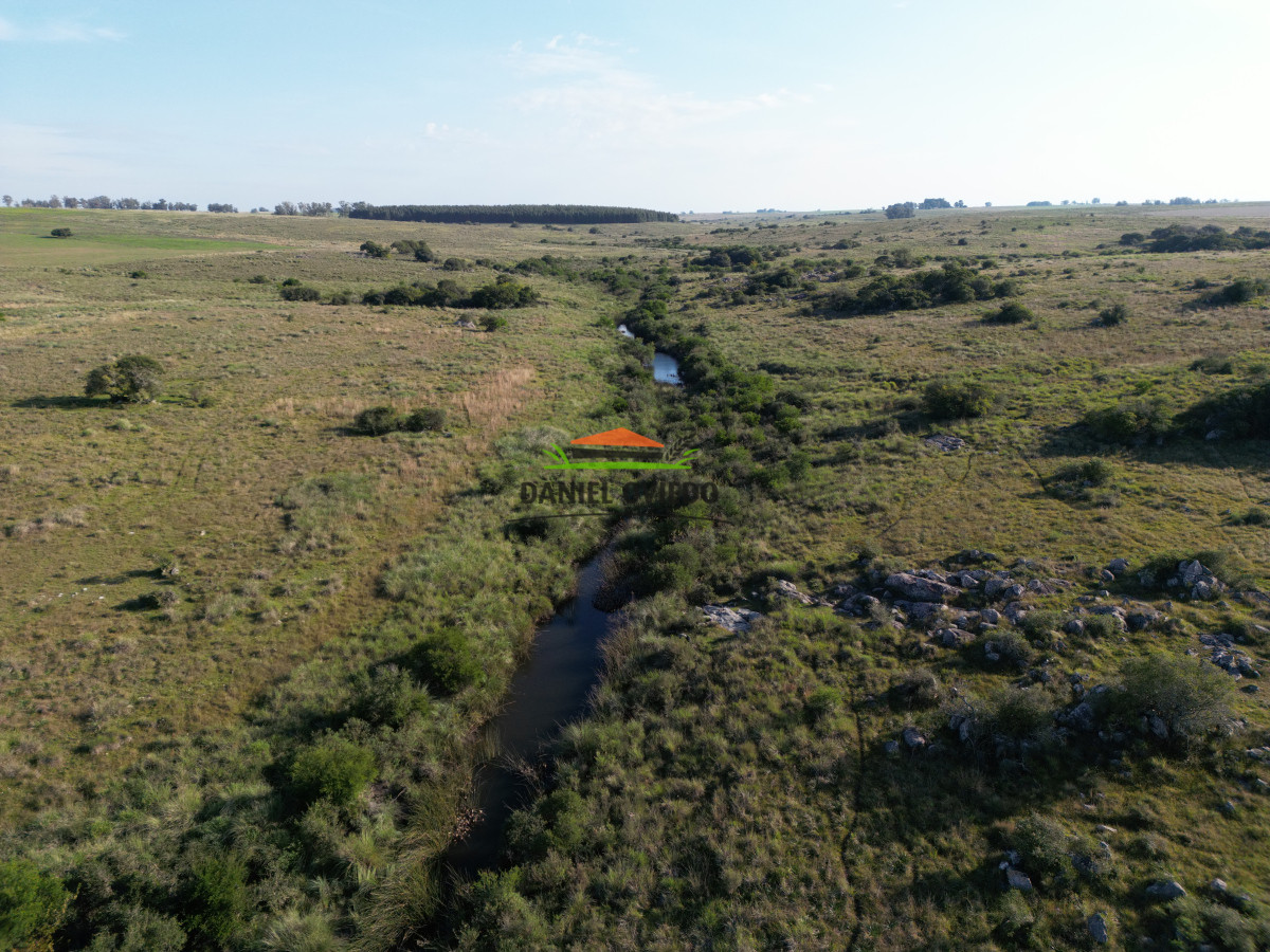 Campo Ref.201 - Establecimiento completo de 400 hás en venta en Flores.