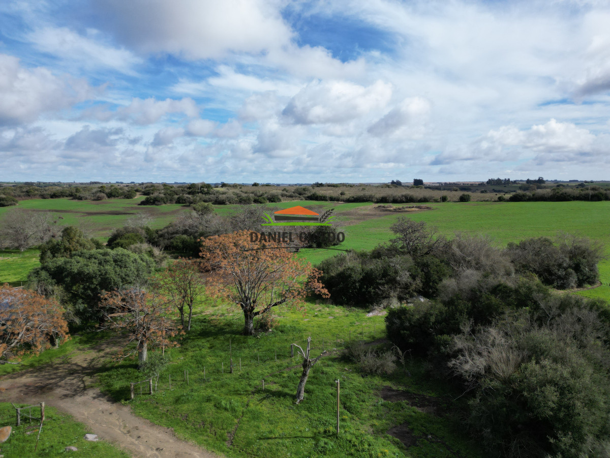 Campo Ref.249/Buen-campo-ganadero-en-venta-ideal-para-engorde. - Buen campo ganadero en venta ideal para engorde.