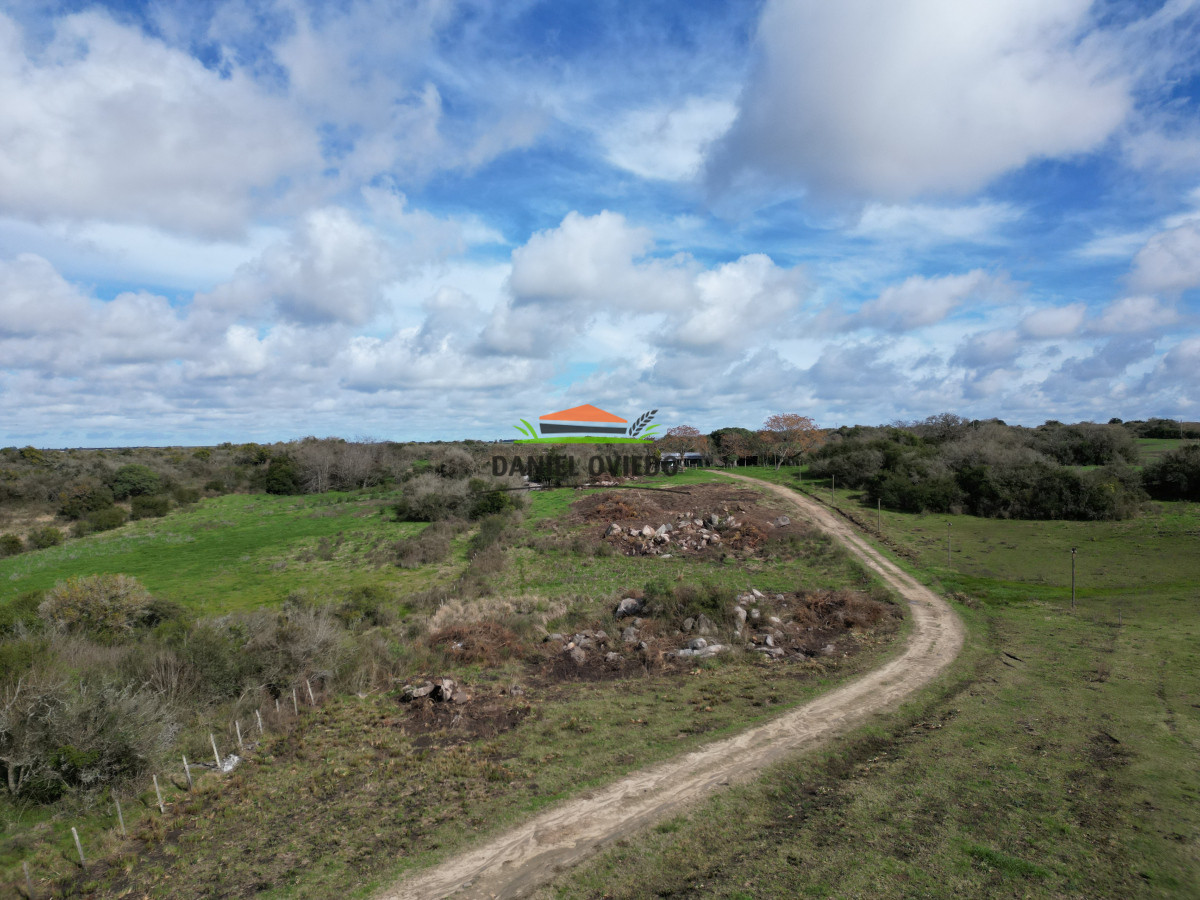 Campo Ref.249/Buen-campo-ganadero-en-venta-ideal-para-engorde. - Buen campo ganadero en venta ideal para engorde.