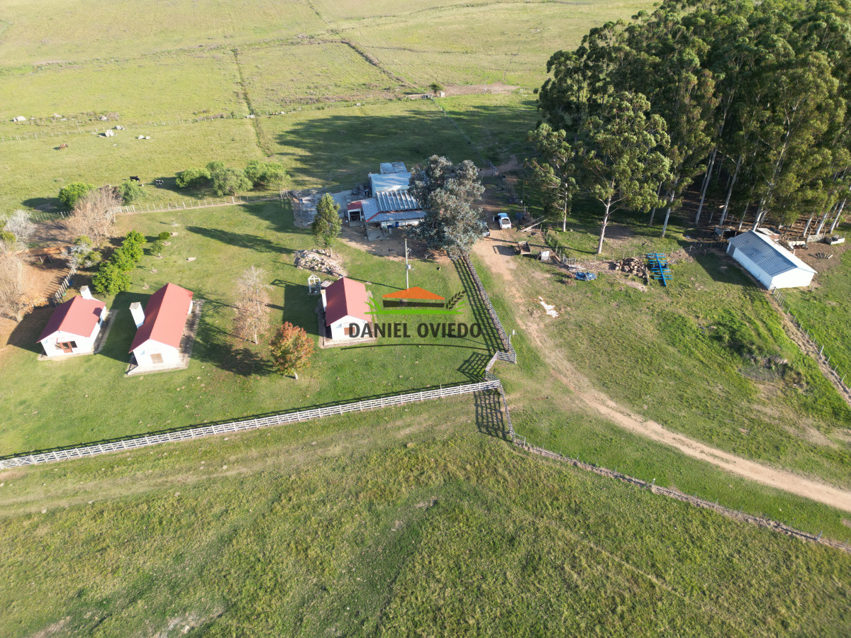 Campo Ref.201 - Establecimiento completo de 400 hás en venta en Flores.