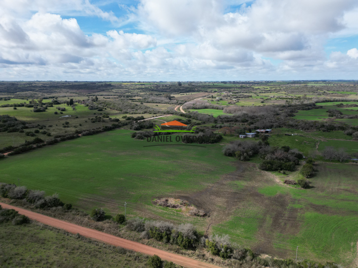 Campo Ref.249/Buen-campo-ganadero-en-venta-ideal-para-engorde. - Buen campo ganadero en venta ideal para engorde.