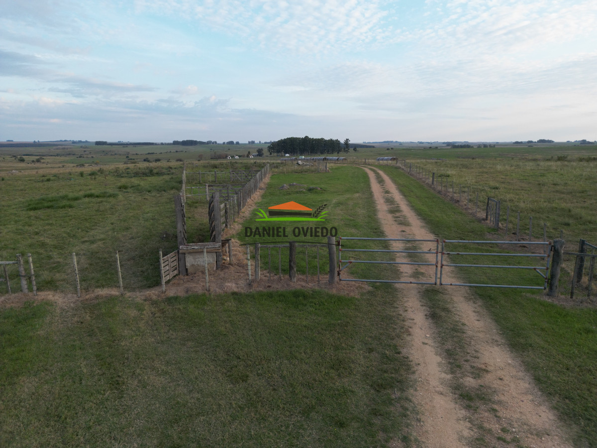 Campo Ref.201 - Establecimiento completo de 400 hás en venta en Flores.