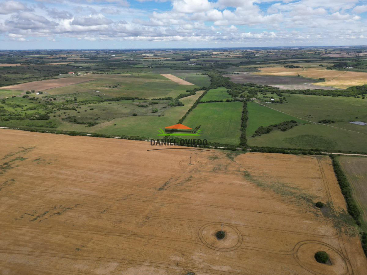 Campo Ref.144/Campo-agr - Campo agrícola - ganadero de 36 hás en venta, Ecilda Paullier