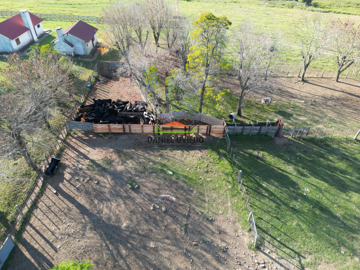 Campo Ref.201 - Establecimiento completo de 400 hás en venta en Flores.