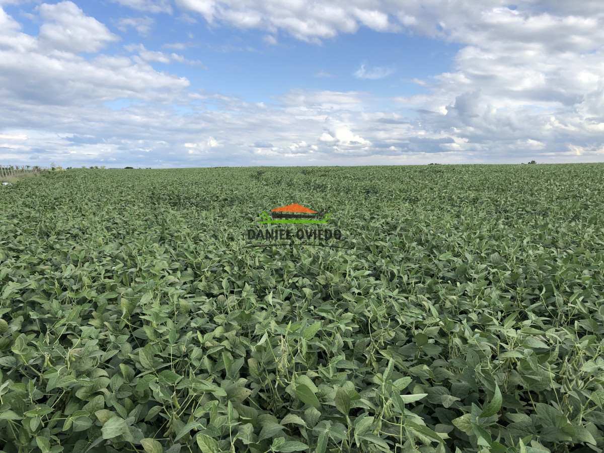Campo Ref.191 - Oportunidad de inversión, campo agrícola en venta en Lavalleja.