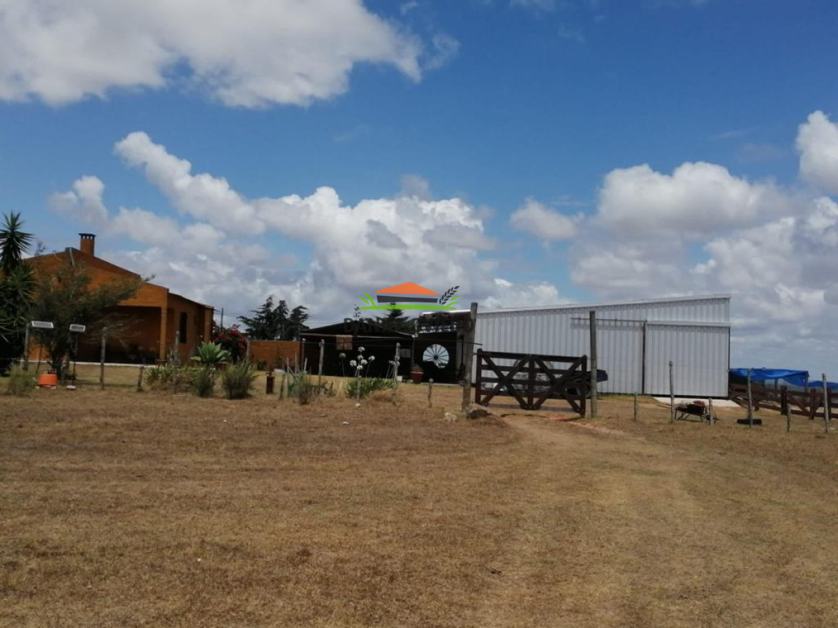Campo Ref.74 - Campo ganadero forestal en venta de 595 hás, Cerro Largo.