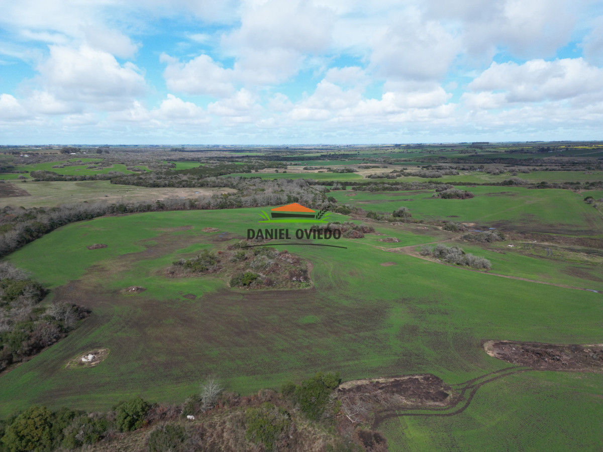 Campo Ref.249/Buen-campo-ganadero-en-venta-ideal-para-engorde. - Buen campo ganadero en venta ideal para engorde.