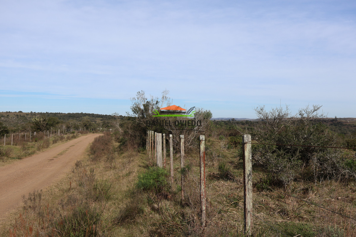 Campo Ref.213 - La Estancia La Alegría, 470 has en venta en Cerro Largo.