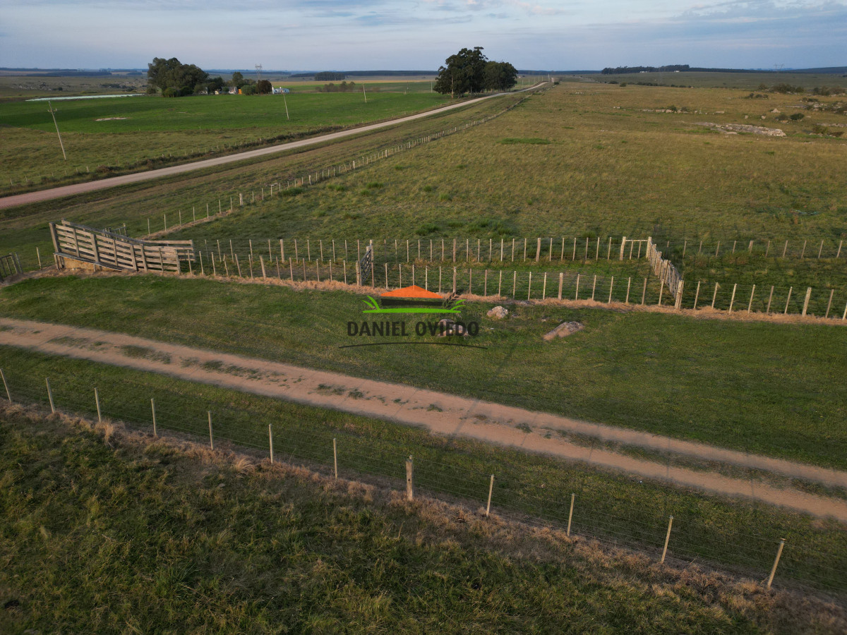 Campo Ref.201 - Establecimiento completo de 400 hás en venta en Flores.