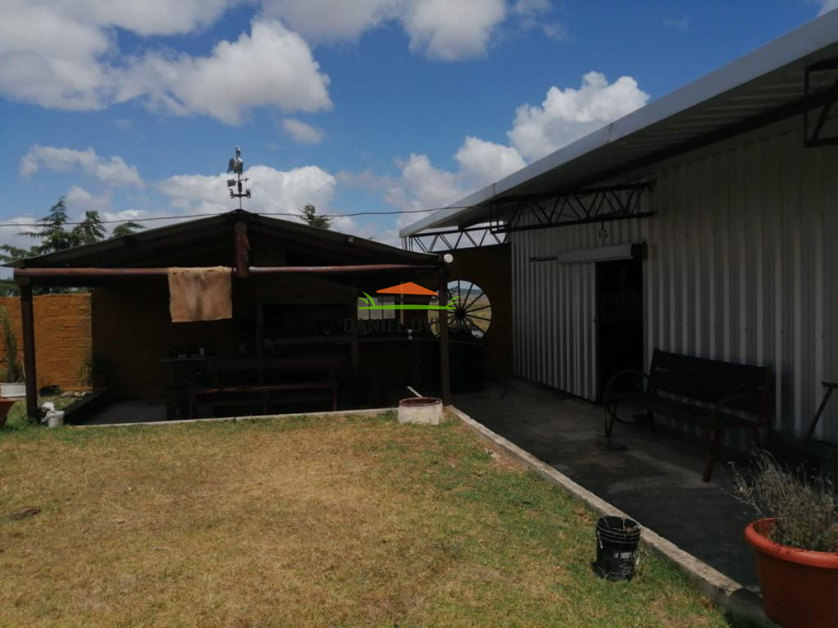 Campo Ref.74 - Campo ganadero forestal en venta de 595 hás, Cerro Largo.