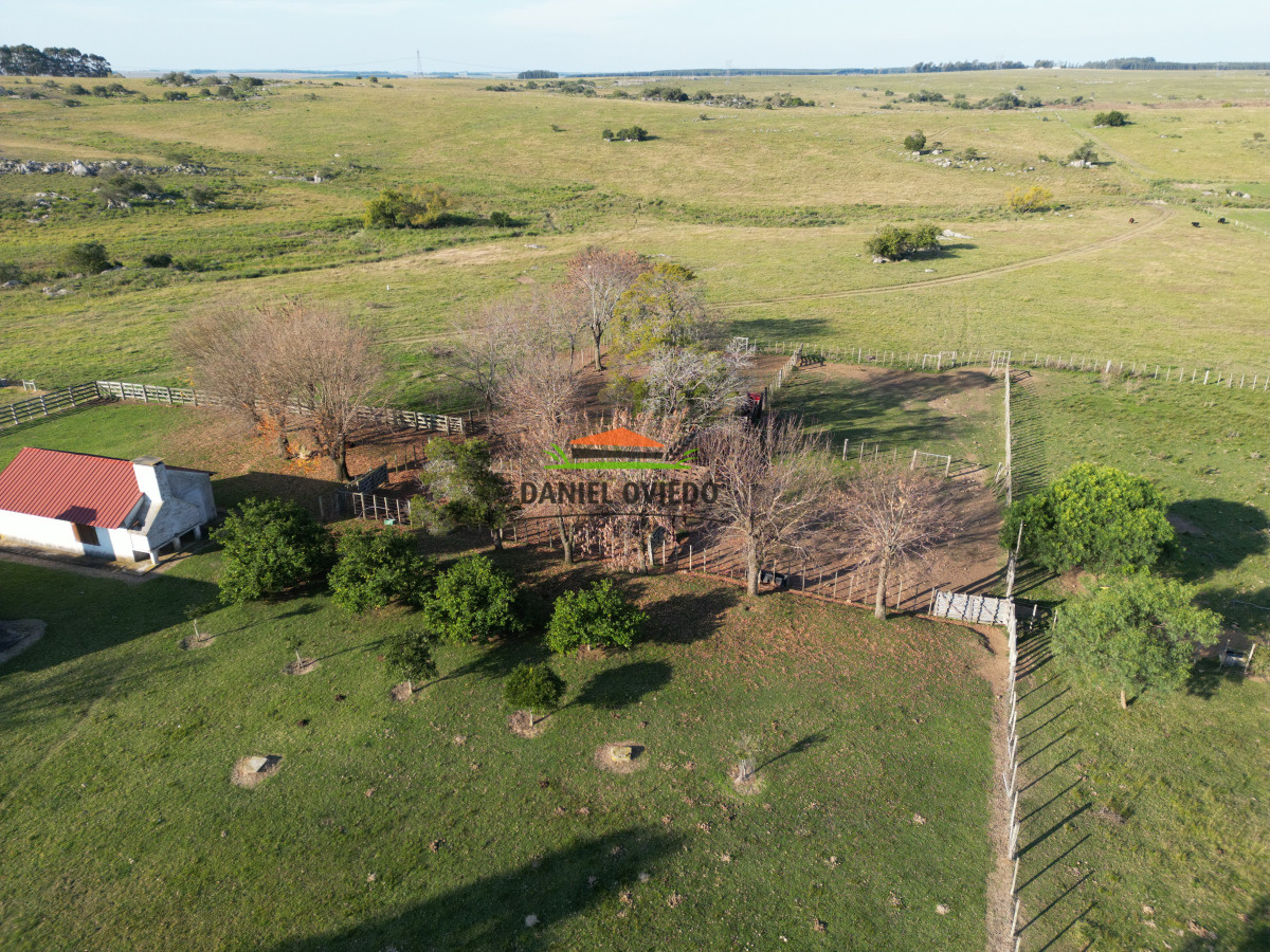 Campo Ref.201 - Establecimiento completo de 400 hás en venta en Flores.
